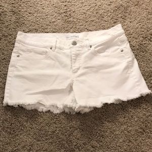 Loft White Scalloped Shorts with Fringe